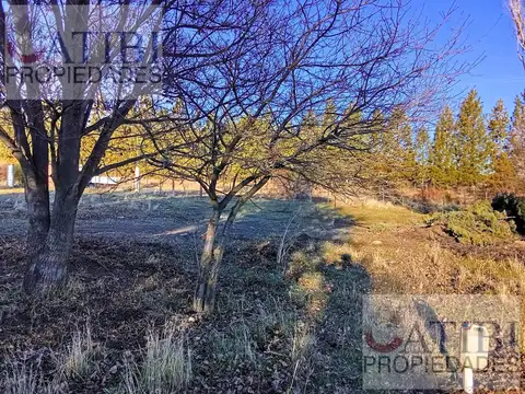 Camino Viejo 365 - Ñirihuau - Dina Huapi