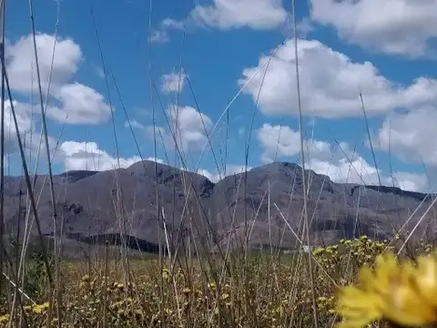 Terreno en Venta de 1000,0 m2