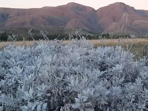 Terreno en Venta 50  mts Frente