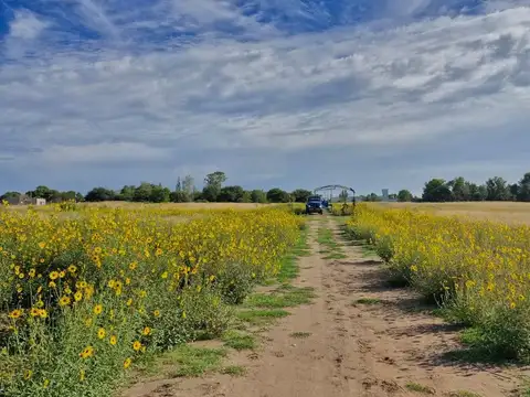 Terreno en Venta en Santa Rosa, USD 33.000