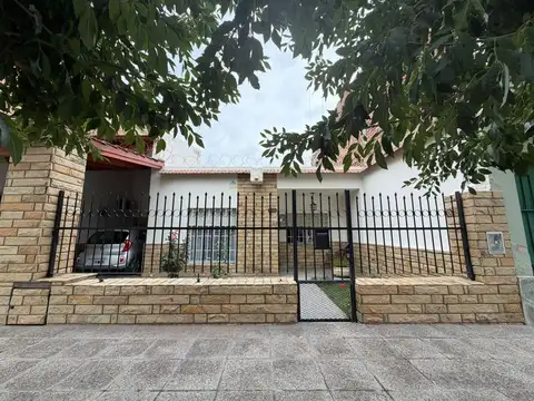 Stefenelli 100