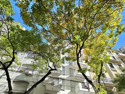 Salguero 246
