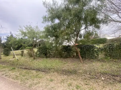 Terreno en Venta 16  mts Frente