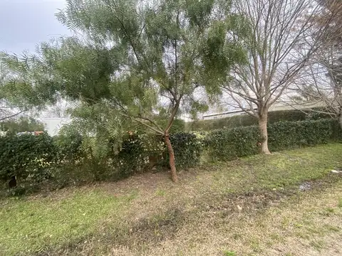 Terreno en Venta 36  mts Fondo