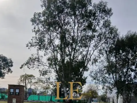 Venta Terreno - Santa Emilia