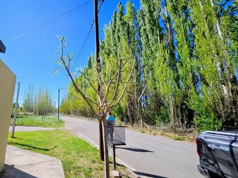 Departamento en Alquiler en Plottier, $ 1.700.000