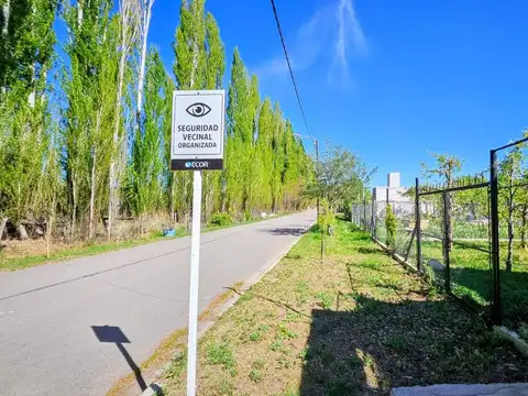 Palito Ortega 2100