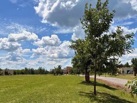 Terreno en Venta de 1041,0 m2