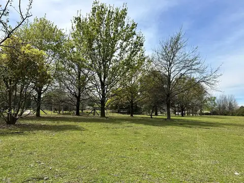 Terreno en Venta de 10000,0 m2