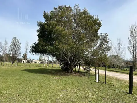 Ruta Provincial 192 Km 11,5 , Open Door, Lujan