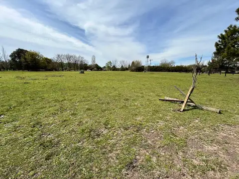 Terreno en Venta de 10000,0 m2