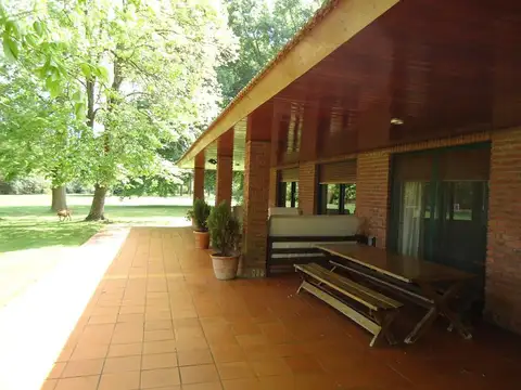 Venta Chacra  - Pilar- Loma Verde