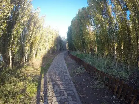 AV. NEHUÉN 100