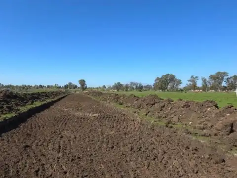 Hipolito Yrigoyen Y Sabatier 100