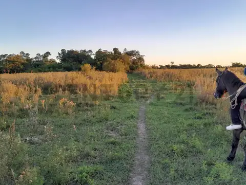 Paraje Lomas 200, Piso 0