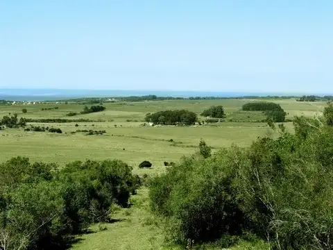 Terreno en Venta en Maldonado, USD 8.500.000