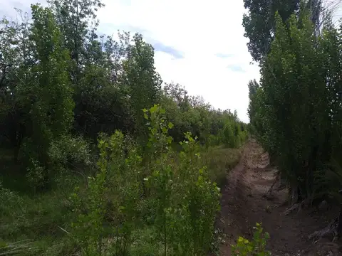 Paraje el Tropezon (con acceso desde Ruta Nacional 143 a 600 metros por servidumbre de paso.