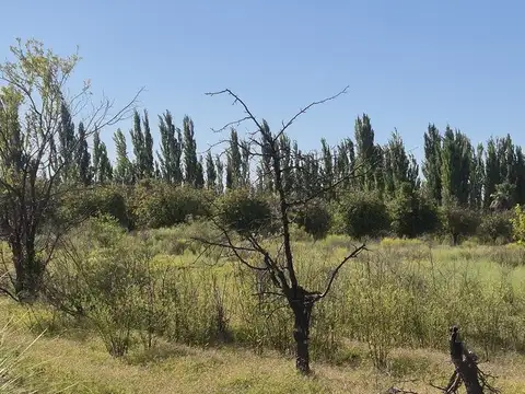 Paraje el Tropezon (con acceso desde Ruta Nacional 143 a 600 metros por servidumbre de paso.