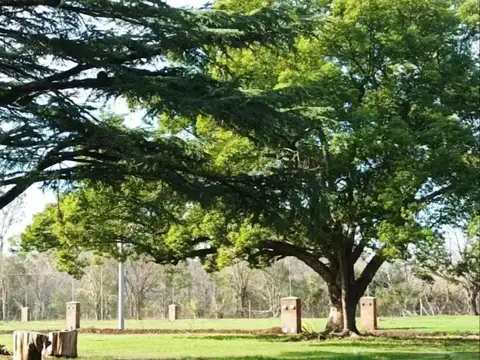 Terreno en Venta 12  mts Frente