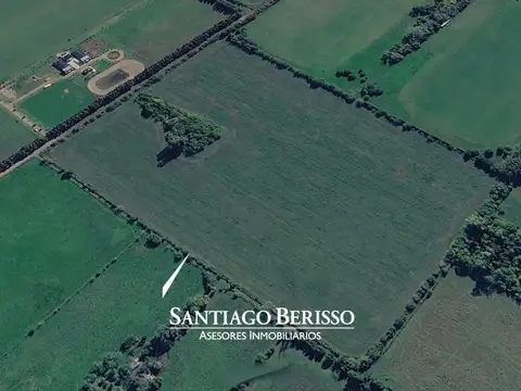 15 ha. Chacra en venta en Exaltación de la Cruz.