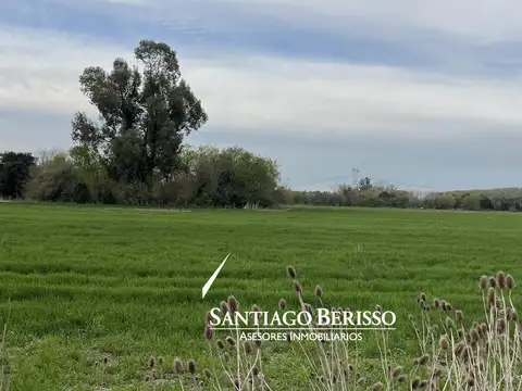 15 ha. Chacra en venta en Exaltación de la Cruz.