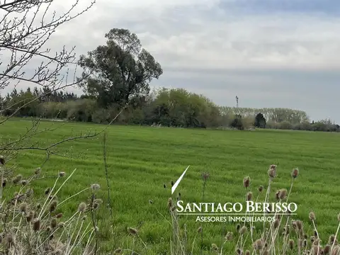 15 ha. Chacra en venta en Exaltación de la Cruz.