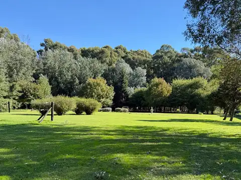 Campo en Venta de 40  ha