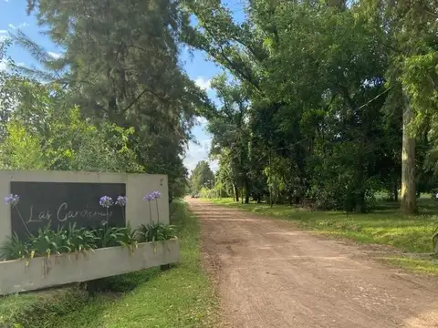 LAS GARDENIAS- PETIÓN