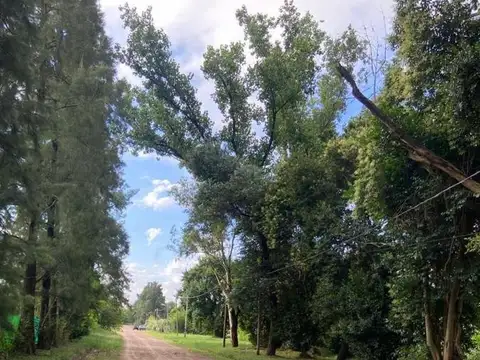 Terreno en Venta en Alejandro Petion, USD 40.000