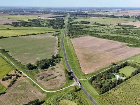LOTE sobre Ruta RN N11 en AVELLANEDA (Santa Fe)