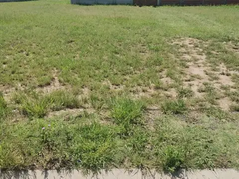 LOTE EN VENTA BARRIO TERRANOVA BEEMUDEZ