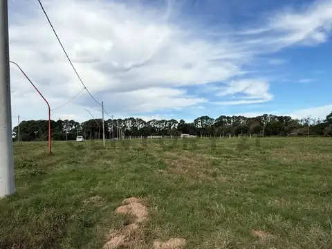 Lote en Altos del Ceibo – Arroyo Leyes | Listo para escriturar