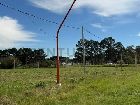 Ruta 1 1000, Piso 0
