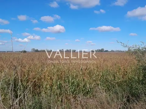 22 Has Capilla del Señor Has. 100