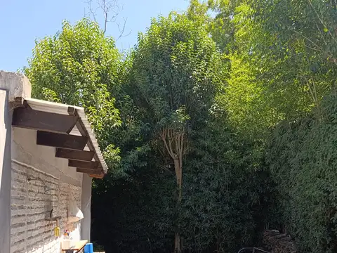 Quinta en Venta en Arturo Segui, USD 125.000