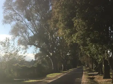 Paraje Río Negro
