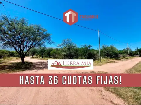 TIERRA MIA - Lote 112