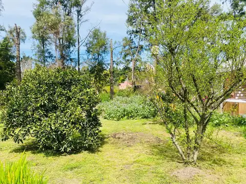 Terreno en Venta 20  mts Frente