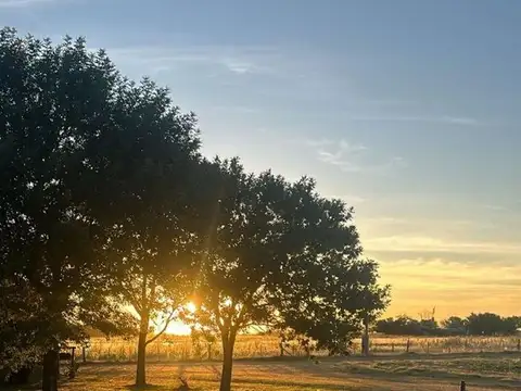 Campo en Venta en San Nicolas de los Arroyos, Partido de San Nicolás