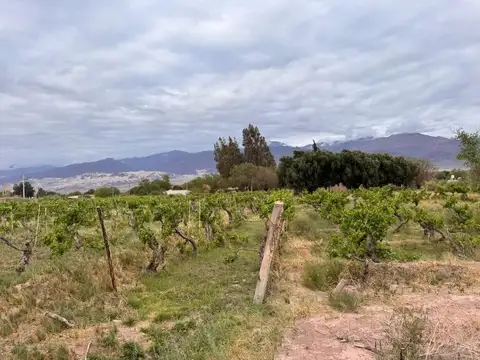 Terreno en Venta en Fiambala, USD 92.655