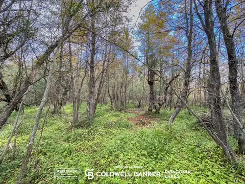 Terreno en Venta de 3000,0 m2