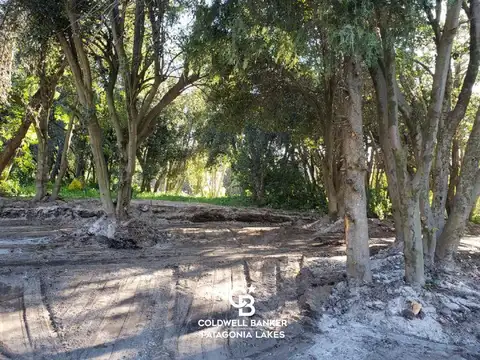 VENTA Lote/Terreno Nº5  de 370m2 , barrio Norte Villa La Angostura