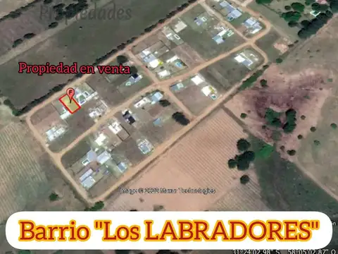 Antonio Palmiro Castagnini 180