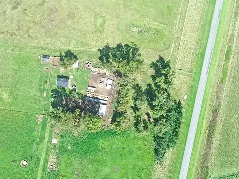 Las Armas - 5 has sobre Ruta 74