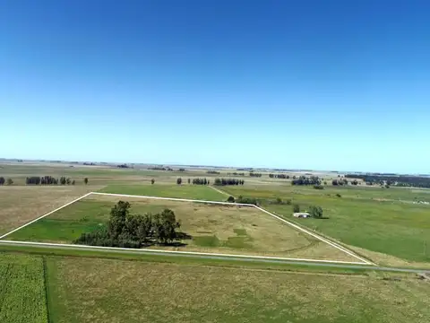 Las Armas - 5 has sobre Ruta 74