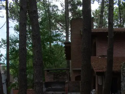 38 entre Mar del Plata y Punta