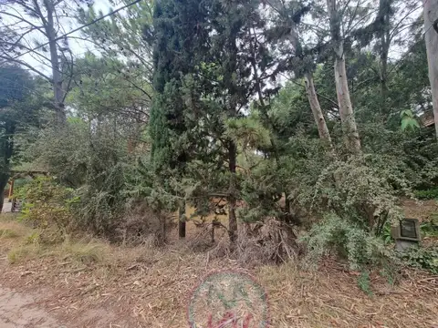 Terreno en Venta 15  mts Fondo