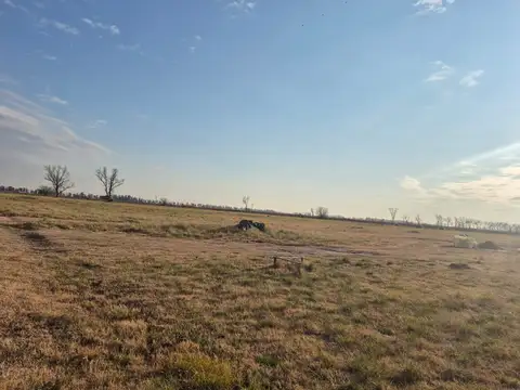 Terreno en Venta 12  mts Frente