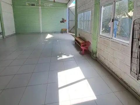 Libertad 100
