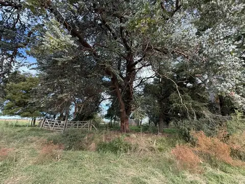 Campo - Venta - Argentina, Lobos